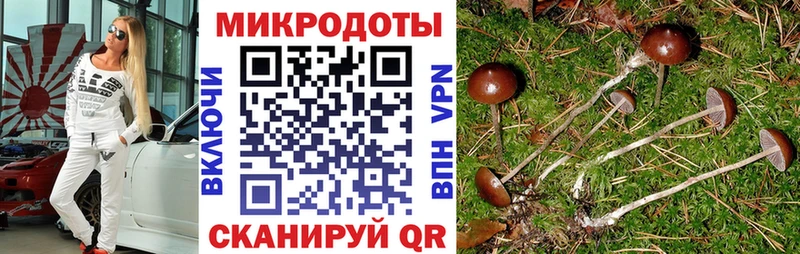 Галлюциногенные грибы Magic Shrooms  Шилка 